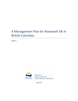 A Management Plan for Roosevelt Elk in British Columbia  DRAFT