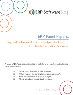 ERP Panel Papers:  Beyond Software: How to Budget the Cost of