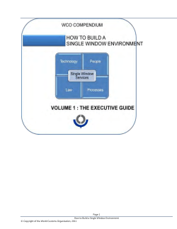 Page 1 How to Build a Single Window Environment