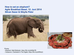 How to eat an elephant? Agile Breakfast Basel, 12. Juni 2014