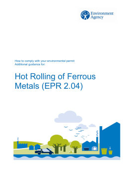 Hot Rolling of Ferrous Metals (EPR 2.04) Additional guidance for: