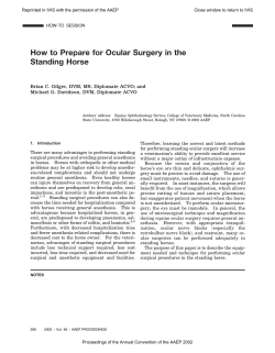 How to Prepare for Ocular Surgery in the Standing Horse
