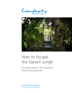 How to Escape the Variant Jungle Schuh &amp; Company Software Support for Successful