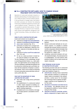 10.A. CONSTRUCTED WETLANDS: HOW TO COMBINE SEWAGE TREATMENT WITH PHYTOTECHNOLOGY