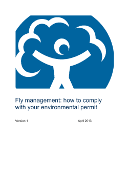 Fly management: how to comply with your environmental permit  Version 1