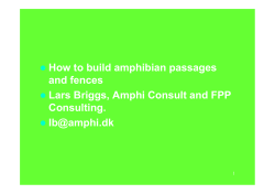 How to build amphibian passages and fences Consulting.