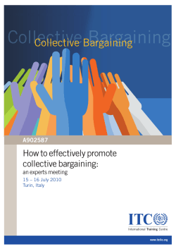 How to effectively promote collective bargaining: A902587 an experts meeting