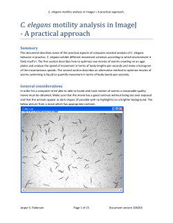 C. elegans - A practical approach Summary