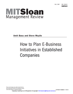 How to Plan E-Business Initiatives in Established Companies