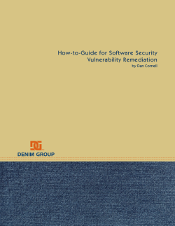 How-to-Guide for Software Security Vulnerability Remediation by Dan Cornell