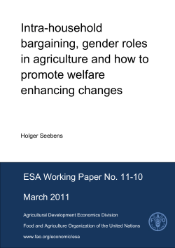 Intra-household bargaining, gender roles in agriculture and how to promote welfare