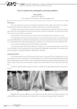 VPAT How to interpret the radiographic pulmonary patterns
