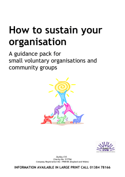 How to sustain your organisation A guidance pack for small voluntary organisations and