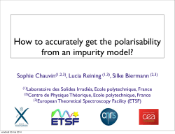 How to accurately get the polarisability from an impurity model? Sophie Chauvin