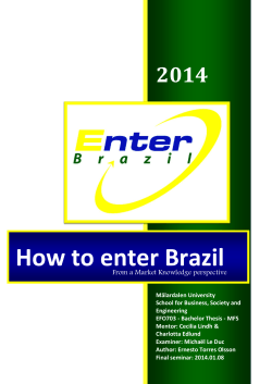 How to enter Brazil 2014  From a Market Knowledge perspective