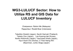 WG3-LULUCF Sector: How to Utilize RS and GIS Data for LULUCF Inventory y