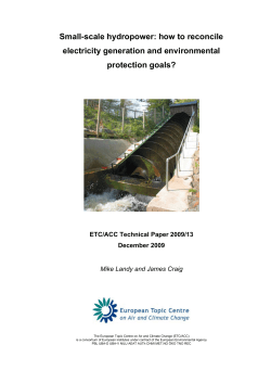 Small-scale hydropower: how to reconcile electricity generation and environmental protection goals?