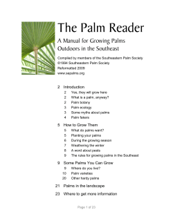 Compiled by members of the Southeastern Palm Society Reformatted 2009