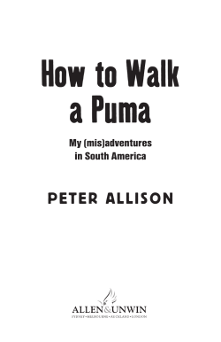 How to Walk a Puma My (mis)adventures