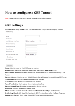 How to configure a GRE Tunnel GRE Settings