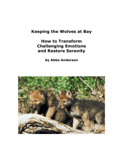 Keeping the Wolves at Bay How to Transform Challenging Emotions