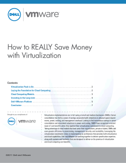 How to REALLY Save Money with Virtualization Contents