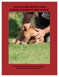 HOW TO REGISTER YOUR AMERICAN MINIATURE HORSE Miniature Horse Association