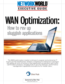 WAN Optimization:  How to rev up sluggish applications