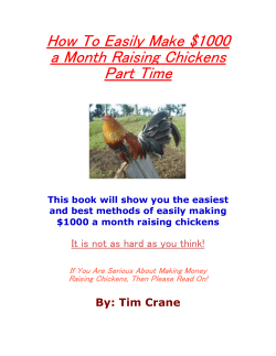 How To Easily Make $1000 a Month Raising Chickens Part Time