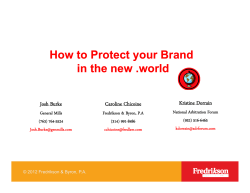 How to Protect your Brand y in the new .world Kristine Dorrain