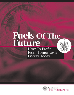 Fuels Future Of The How To Profit