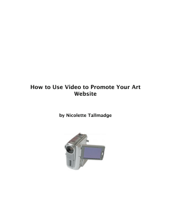 How to Use Video to Promote Your Art Website by Nicolette Tallmadge