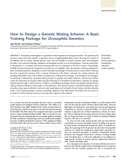 How to Design a Genetic Mating Scheme: A Basic Drosophila Genetics