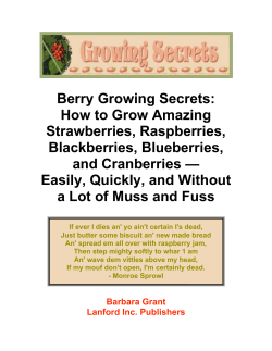 Berry Growing Secrets: How to Grow Amazing Strawberries, Raspberries, Blackberries, Blueberries,