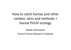 How to catch hantas and other  rainbos: aims and methods +  boreal PUUV ecology Heikki Henttonen
