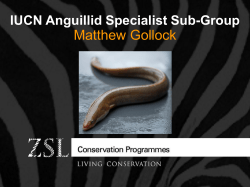 Matthew Gollock IUCN Anguillid Specialist Sub-Group