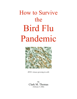 Bird Flu Pandemic How to Survive the