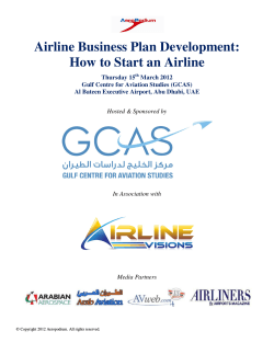 Airline Business Plan Development: How to Start an Airline