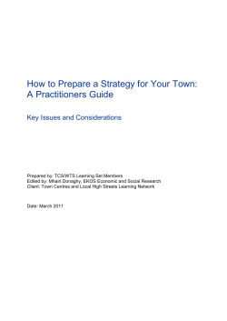 How to Prepare a Strategy for Your Town: A Practitioners Guide