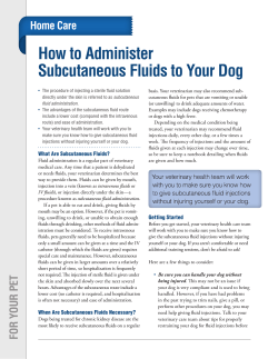 How to Administer Subcutaneous Fluids to Your Dog Home Care