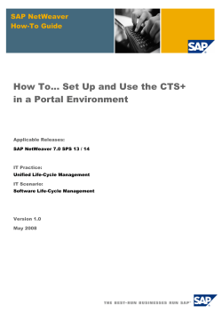 How To... Set Up and Use the CTS+ SAP NetWeaver How-To Guide