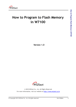 How to Program to Flash Memory in W7100 Version 1.0 H