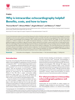 Why is intracardiac echocardiography helpful? Benefits, costs, and how to learn REVIEW Imaging