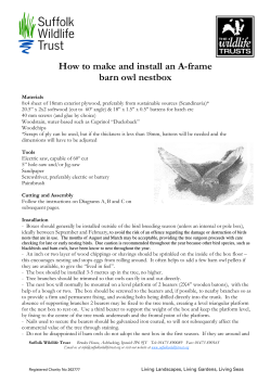 How to make and install an A-frame barn owl nestbox