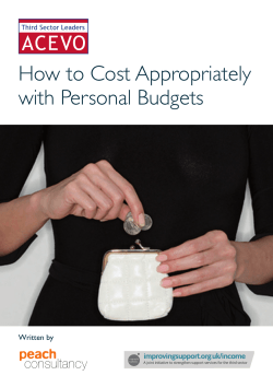 How to Cost Appropriately with Personal Budgets consultancy Written by