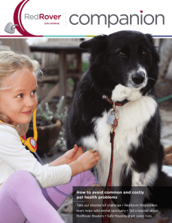 How to avoid common and costly pet health problems