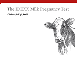 The IDEXX Milk Pregnancy Test  Christoph Egli, DVM