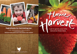 Ingredients for harvesting joy: how to grow your own delicious fresh food.