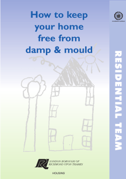 How to keep your home free from damp &amp; mould