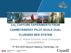 CO CAPTURE EXPERIMENTS FROM CANMETENERGY PILOT-SCALE DUAL FLUIDIZED BED SYSTEM